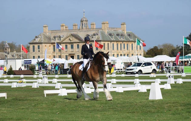 Mary King rides Hovis Belton