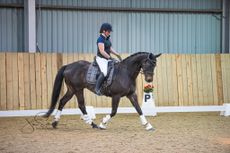 Definightly-Dressage-to-Music-1-Copyright-Jo-Sutherst-Photography.jpg