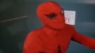 Spider-Man in The Amazing Spider-Man