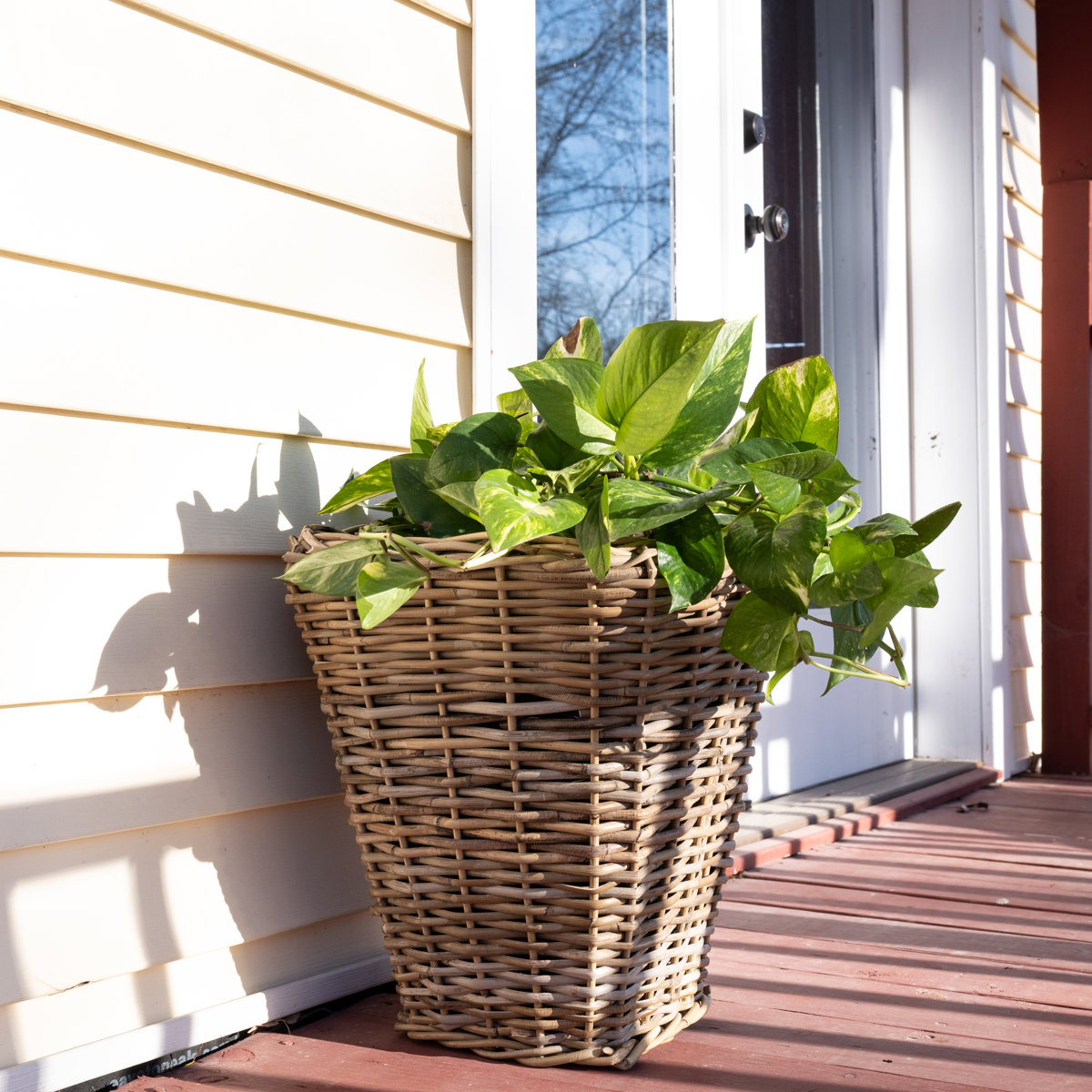 Saboga Home Square Tapered Planter With Black Plastic Insert | Wayfair