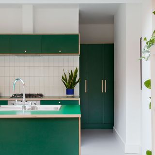 green kitchen kitchen island