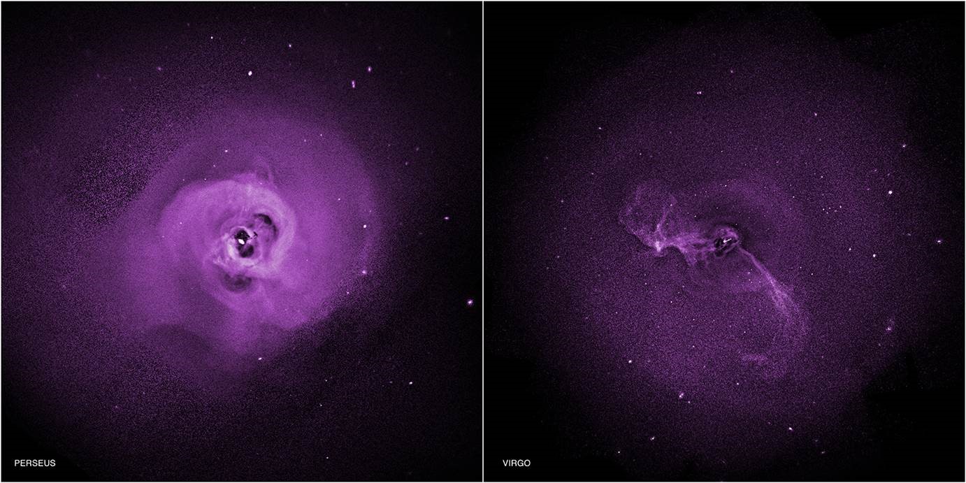 Perseus and Virgo Galaxy Clusters