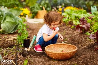 Little girl with green fingers, from iStock
