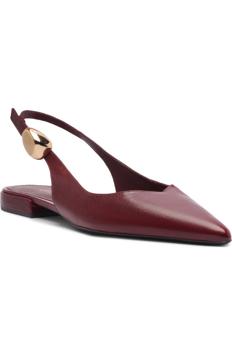 Farrah Slingback Pointed Toe Flat