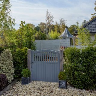 Hedge border surrounding blue gate in front garden