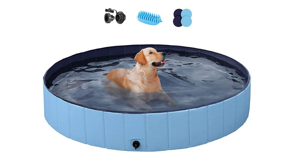 Best swimming pool for dogs 2021 Punctureproof, portable and perfect