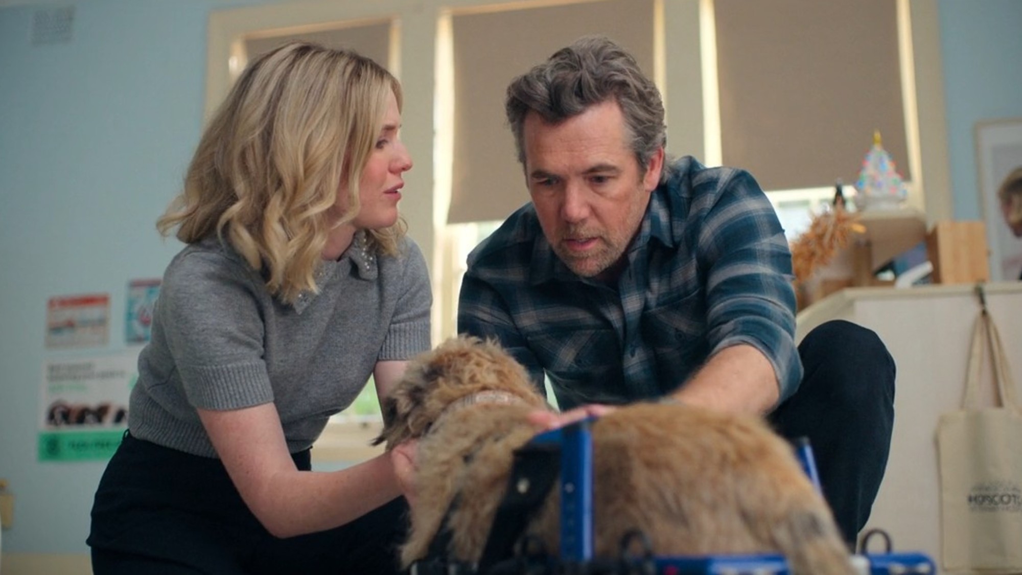 Harriet Dyer and Patrick Brammall with the dog Colin in Colin from Accounts.