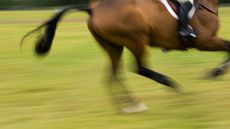 B0B93D Horse and rider in the cross country phase of an eventing competition Charlton Park Wiltshire United Kingdom