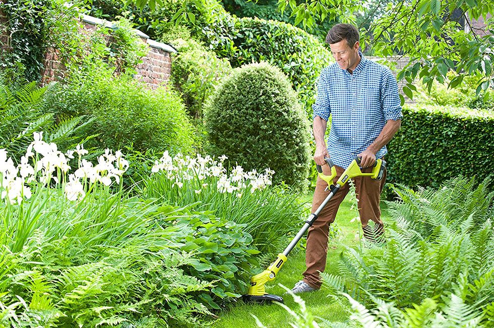 Argos electric store garden strimmers