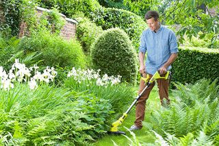 Best strimmer guide