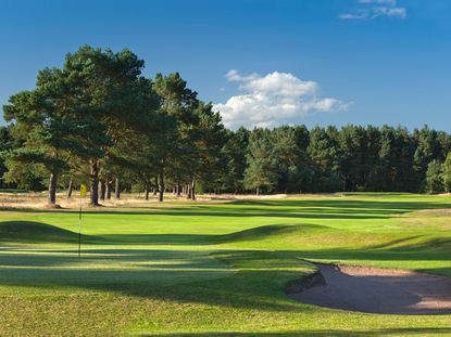 Ladybank golf club course review