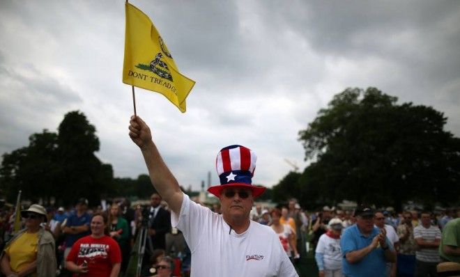 Al Teague of Myrtle Beach, S.C., at a Tea Party rally in front of the U.S. Capitol on June 17.