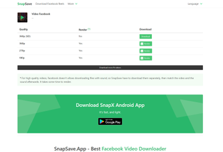 SnapSave video downloader for Facebook