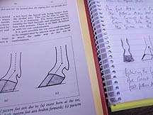 Roland-Drawings.jpg