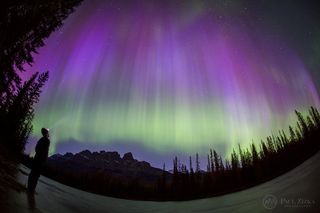 Aurora Over Banff National Park, Alberta, Canada