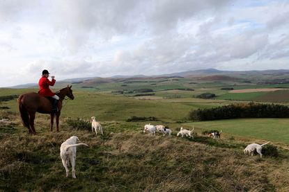 Middleton Hunt