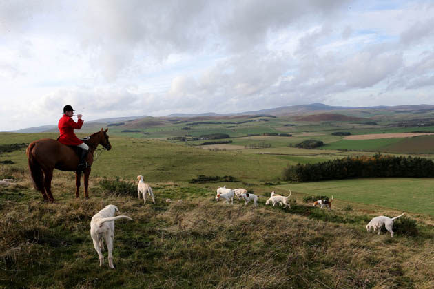 Middleton Hunt