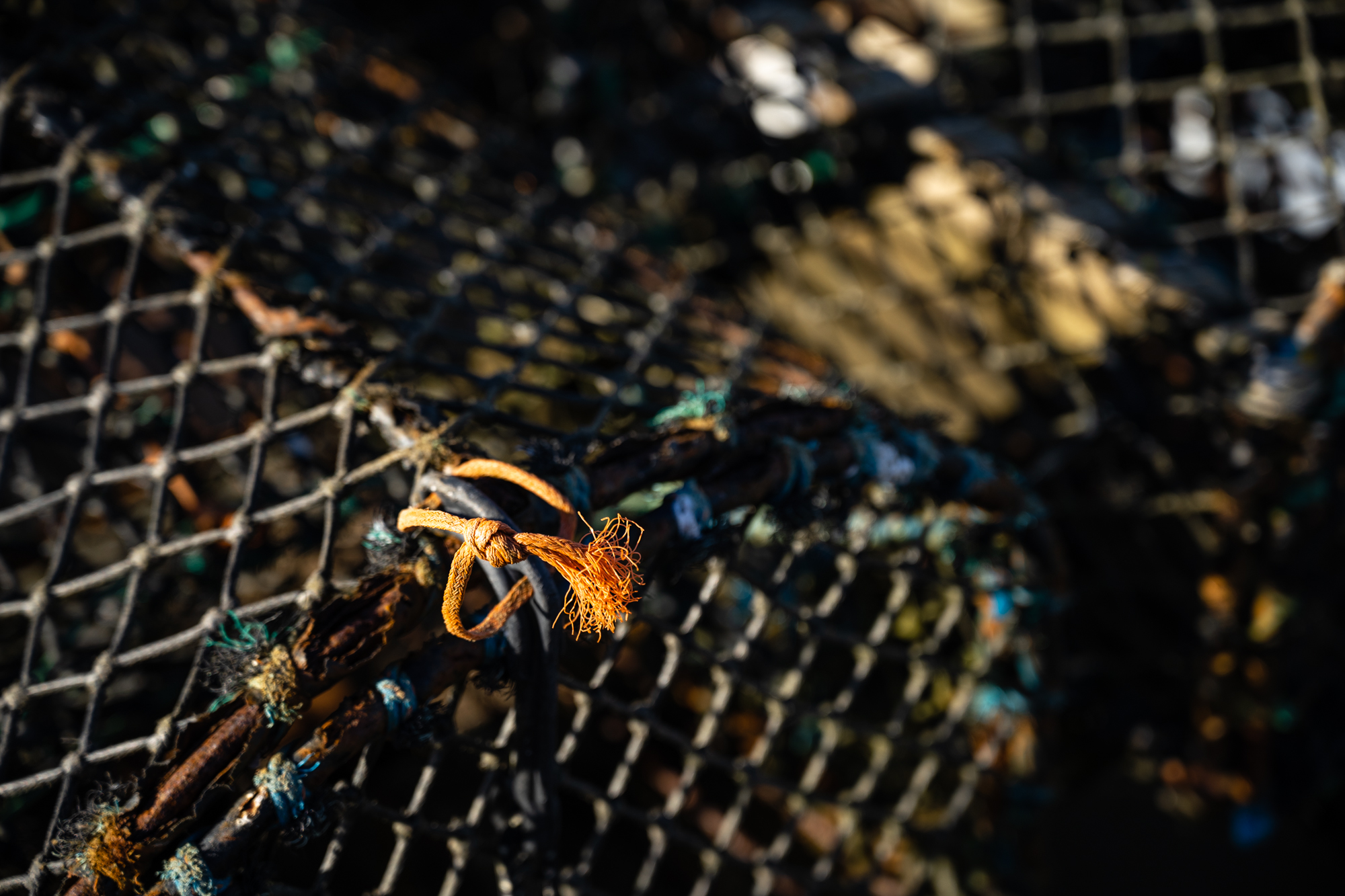 Sony FE 20-70mm F4 G lens sample image close up of lobster nets