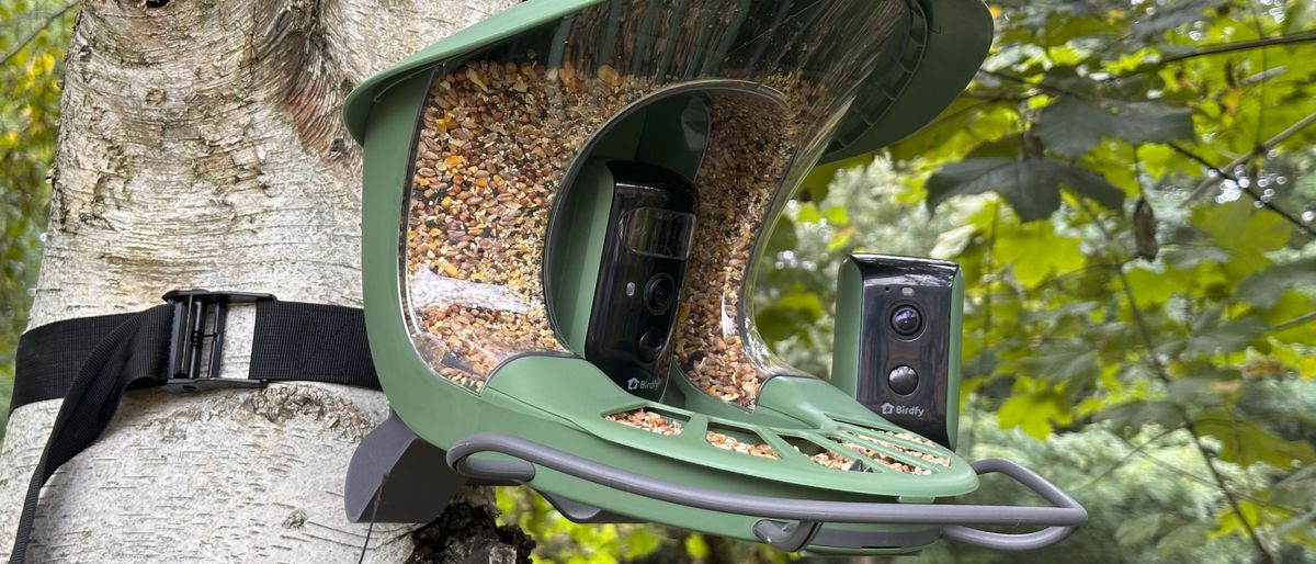 A photo of the Birdfy Feeder 2 Duo mounted to a tree