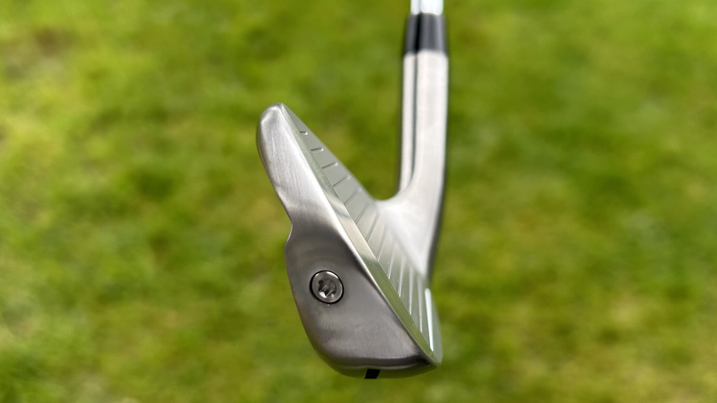 Photo of the Takomo 201T MKII Iron