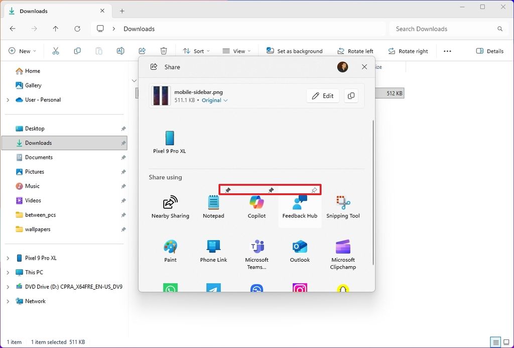 Windows Share app pin option