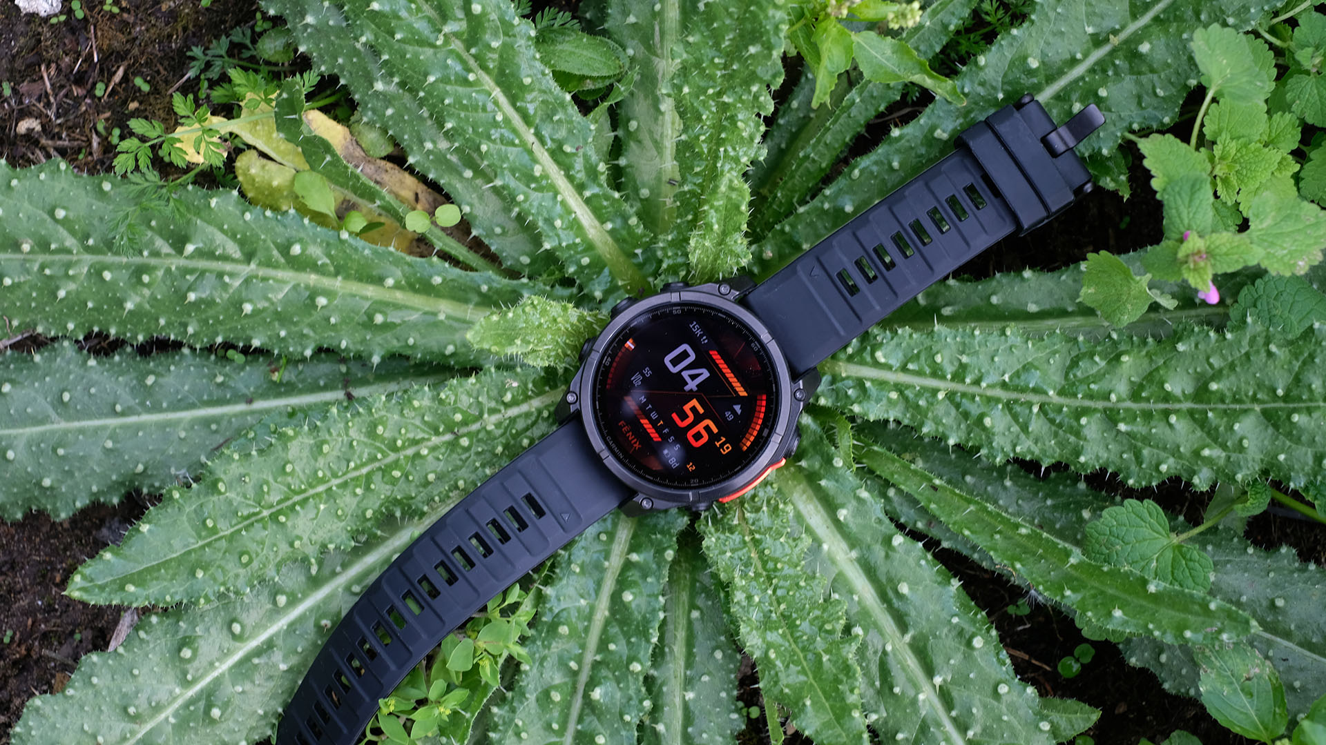 Garmin Fenix 8 laying flat on a plant