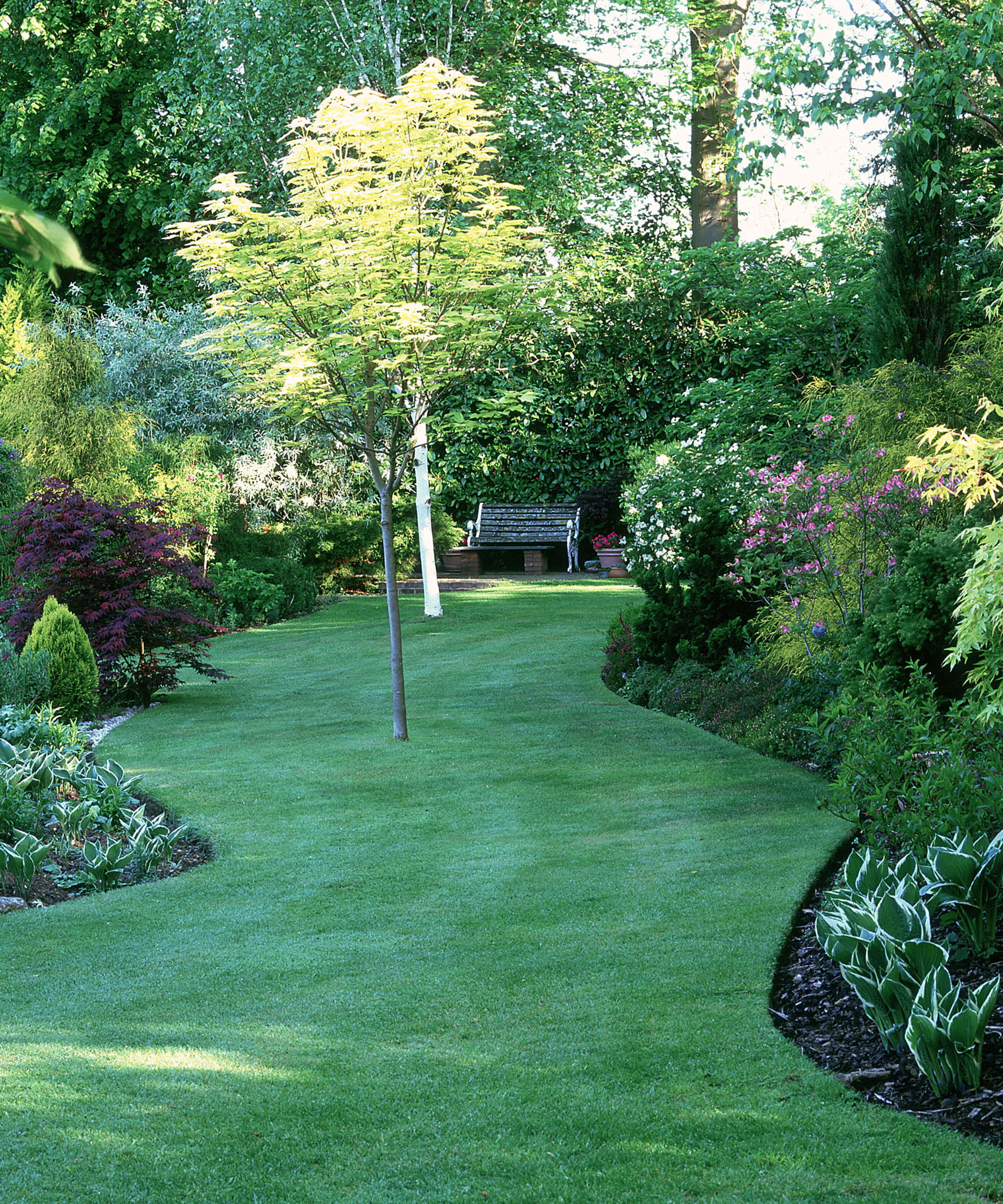 Curved lawn shaded by trees
