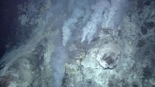 Hydrothermal vents may be deep underwater, but they're scorching hot.