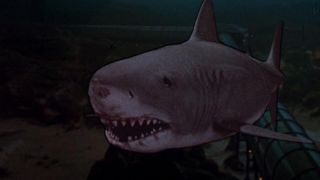 Still from the movie JAws 3-D. Here we see a close up of a great white shark,