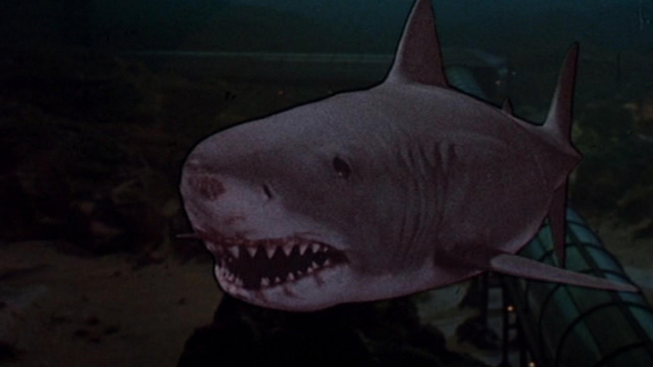Standbild aus dem Film JAws 3-D.  Hier sehen wir eine Nahaufnahme eines Weißen Hais,