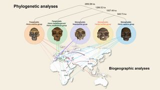 This map shows where the remains of Dragon man and his relations, as well as other early human species, were found.