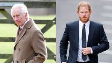Composite of King Charles in Norfolk in 2024 and Prince Harry in London in 2023