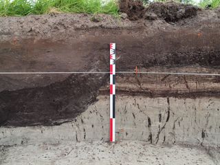 A close-up of a medieval ditch used to drain the wetlands. The end of the ditch is to the left of the scale bar.