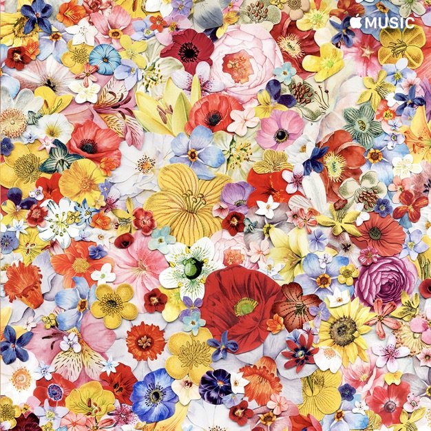 12 of the best Apple Music playlists for working from home iMore