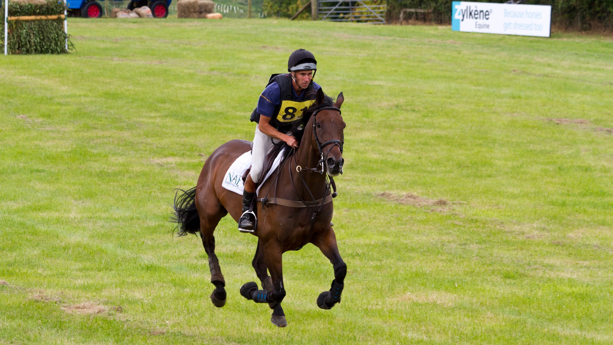 Horse galloping freely not spooking on cross-country course