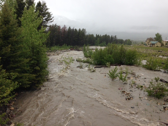 Photos: June Snowstorm Hits Glacier National Park | Live Science