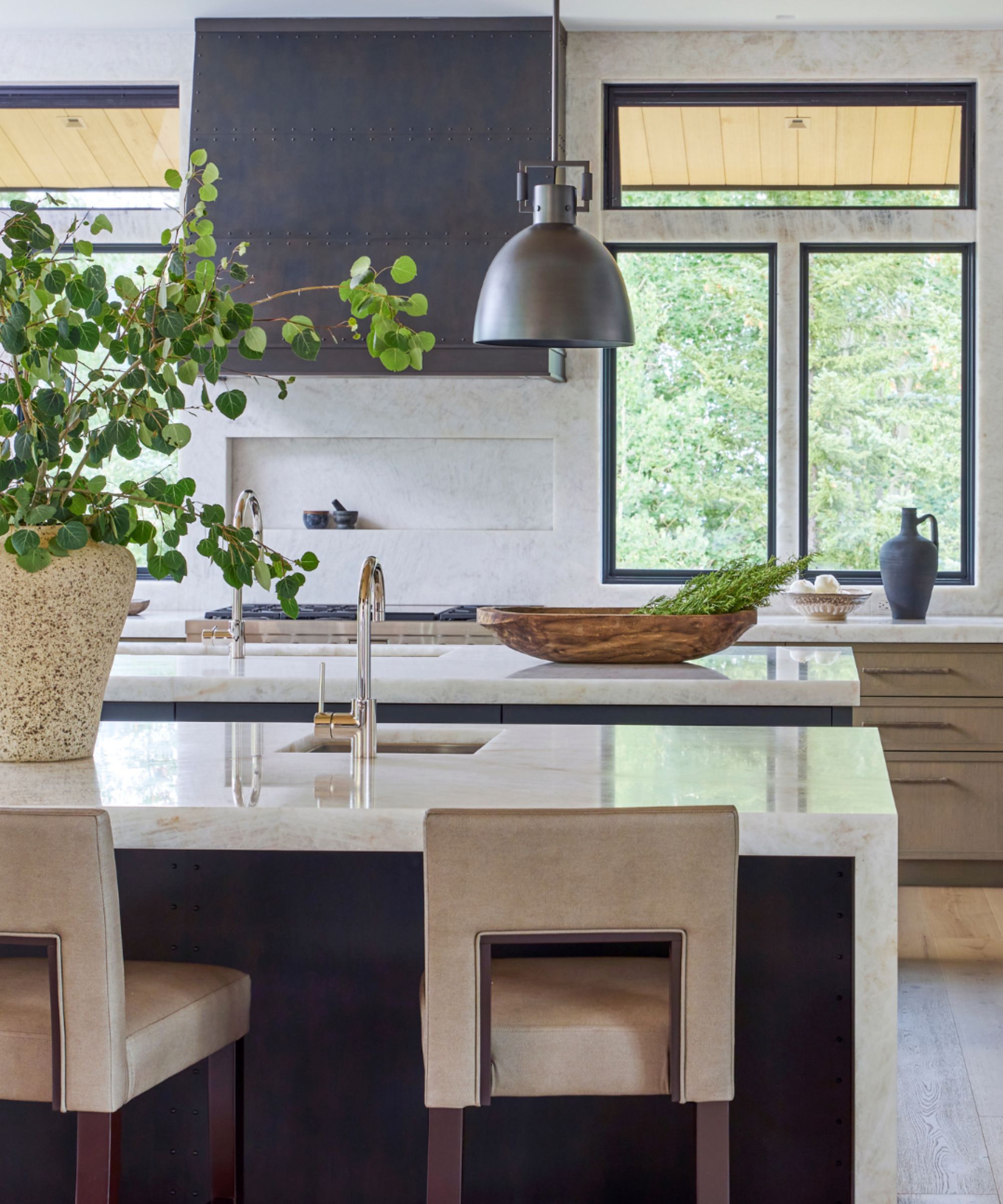 Kitchen with marble islands and plant on the counter