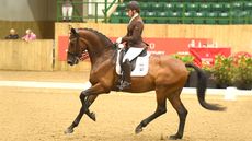 Becky Moody on Jack Diamond