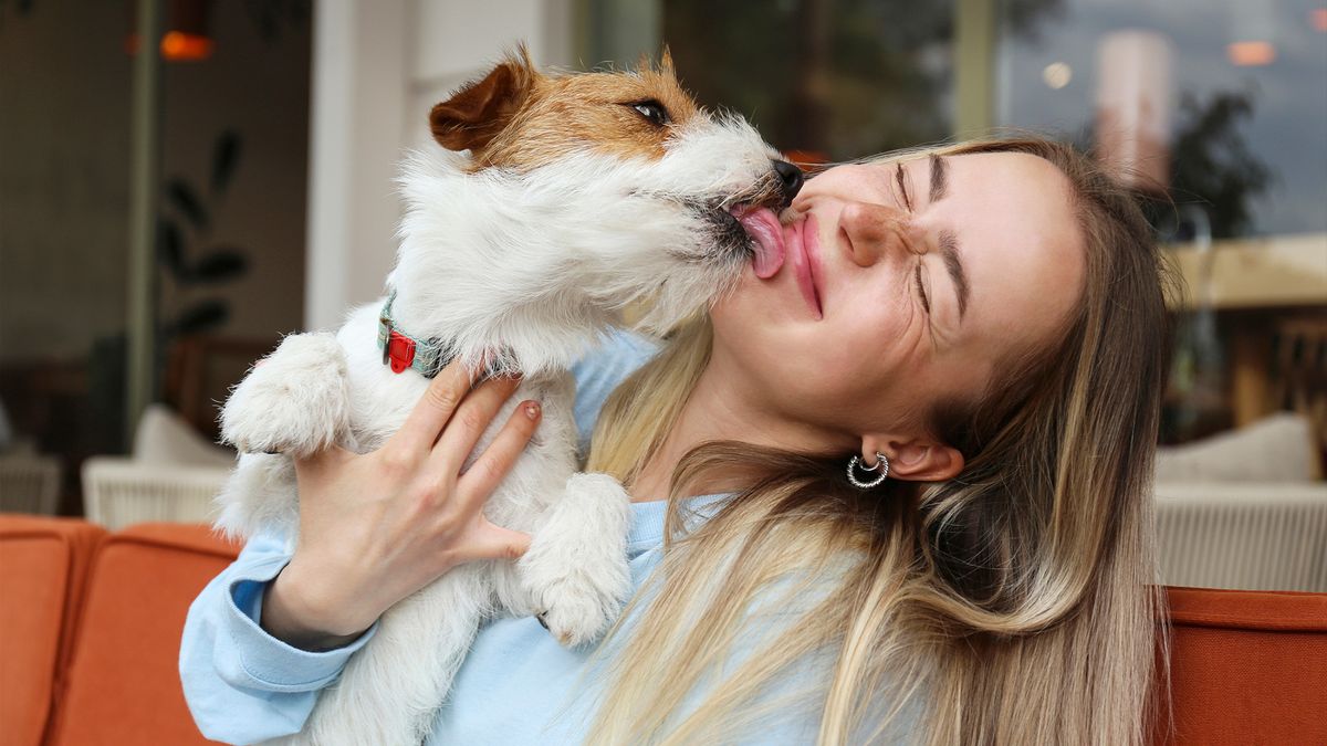 Dog licking owner&#039;s face, also known as dog kissing