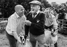 One of the images from 'Fields, folds and farming life' by Valerie Mather.