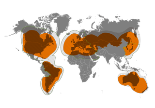 Globalstar coverage map