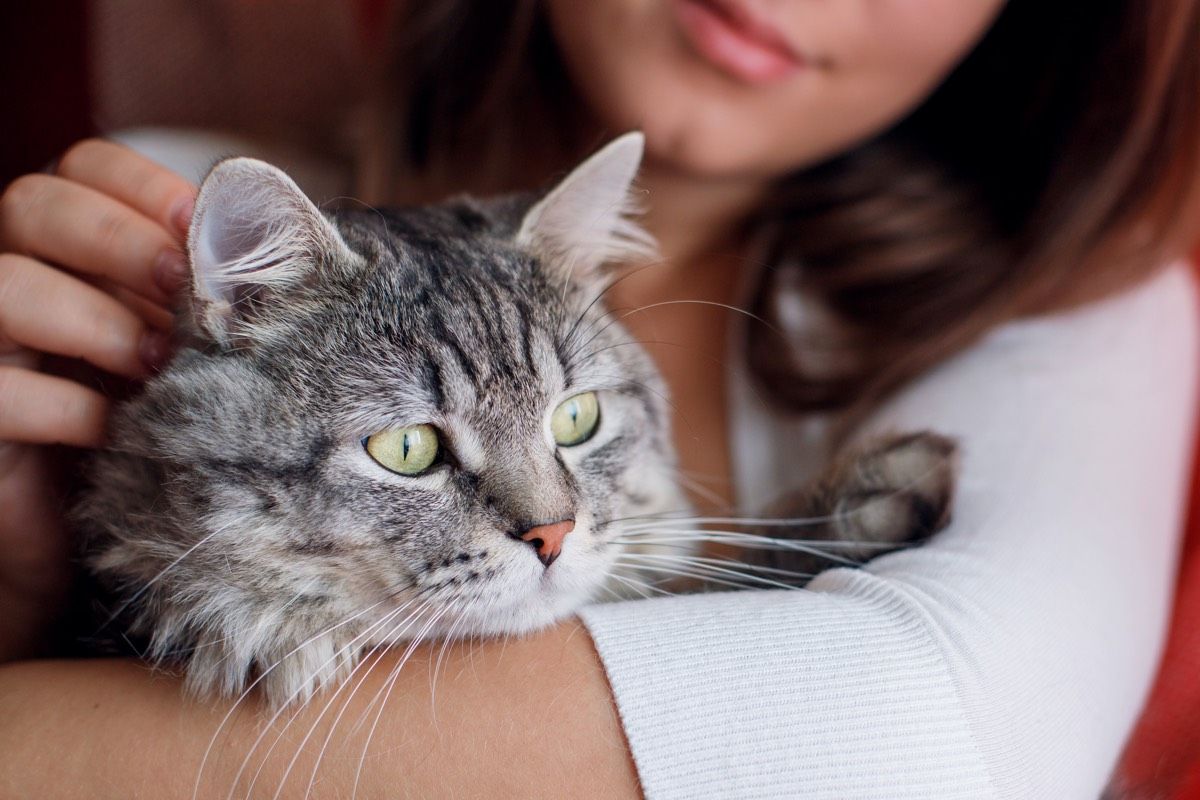 do female cats prefer male humans