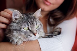 Woman petting her domestic cat.