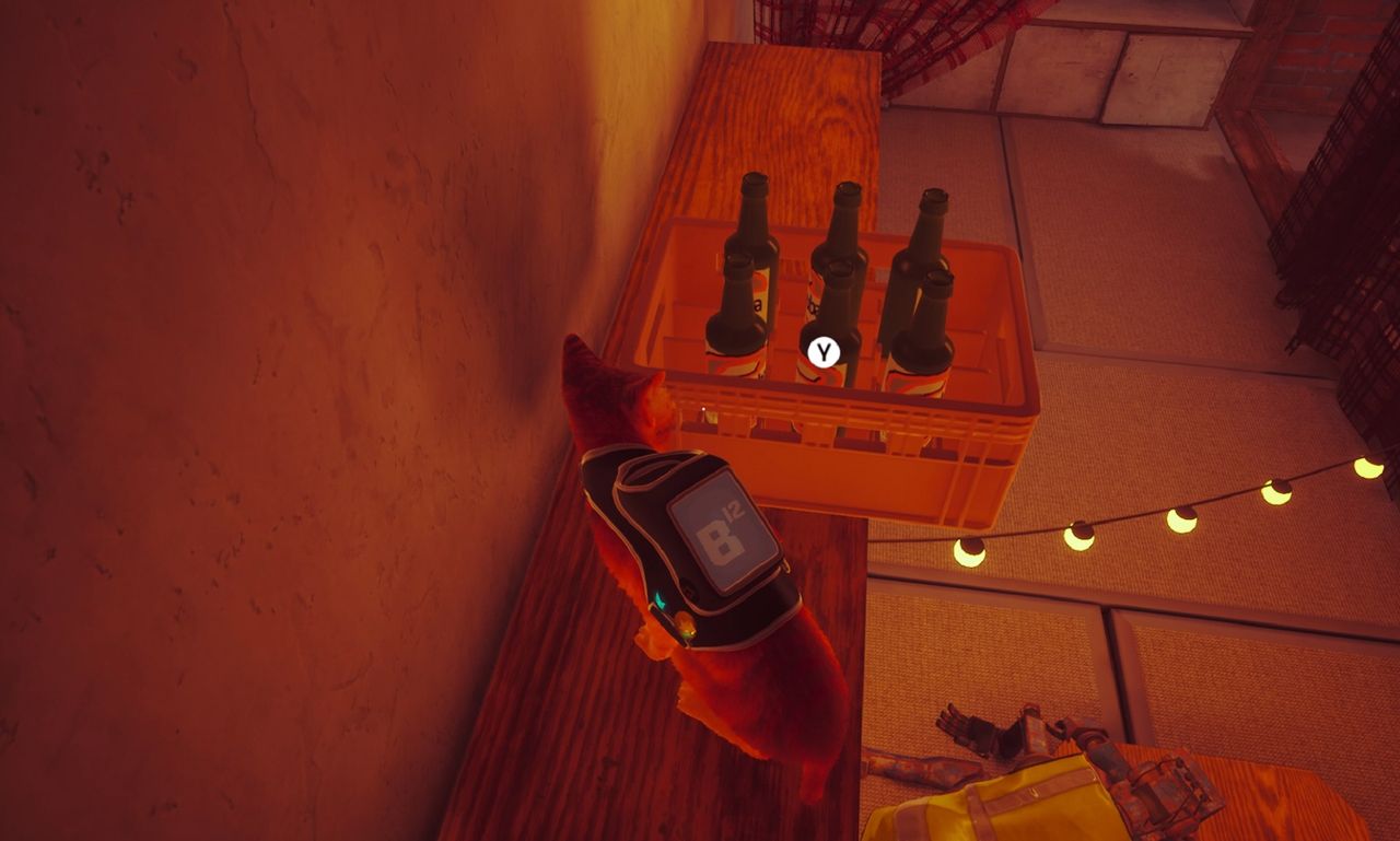 stray knock beer over