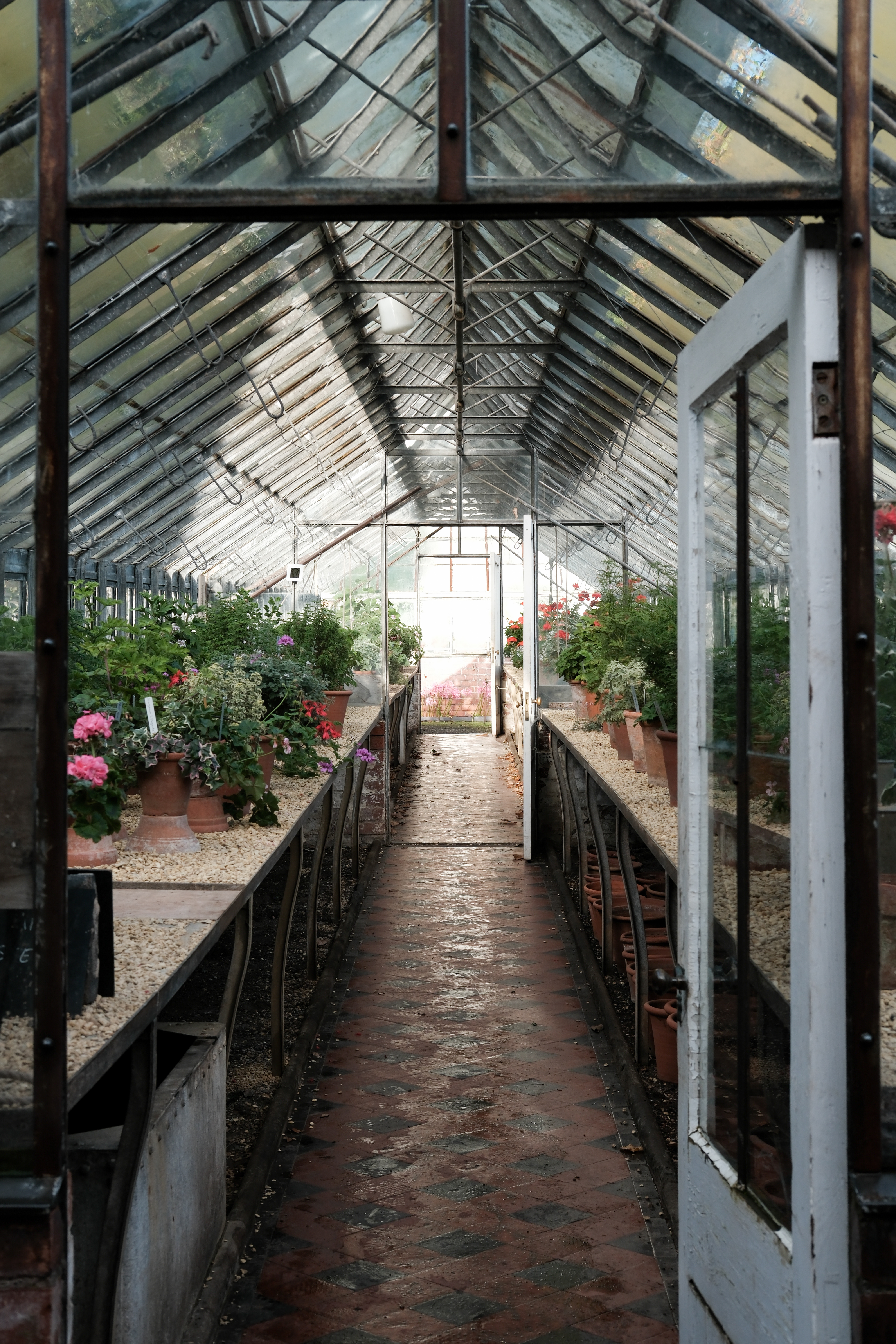 A photo of a greenhouse with many plants growing.