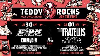 Teddy Rocks Tour Poster