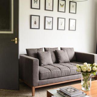 a neutral living room with a dark grey door, grey sofa and a photo gallery on the wall consisting of 8 different photos of bugs and butterflies