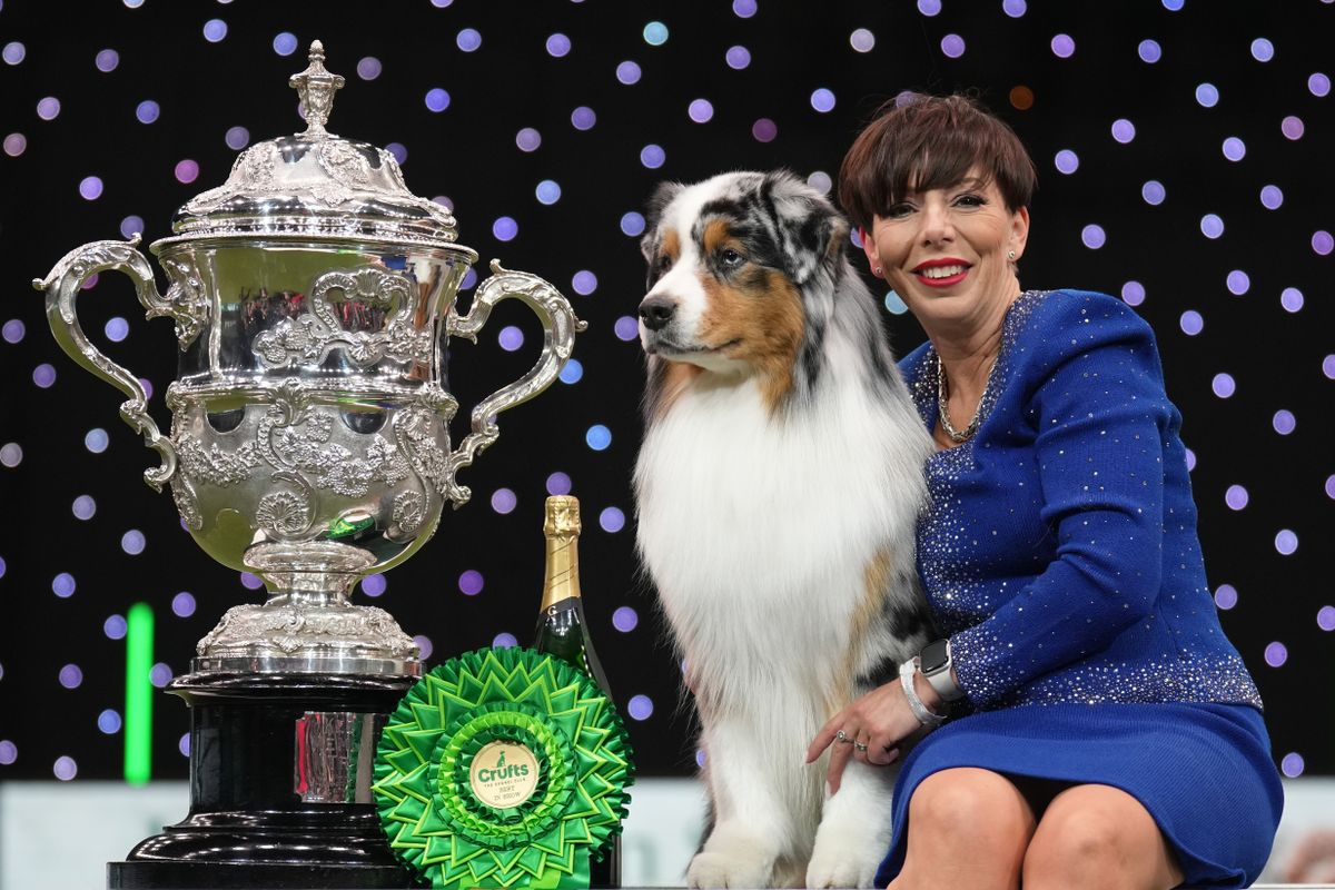 Crufts 2024 release date, winner, hosts and all we know What to Watch