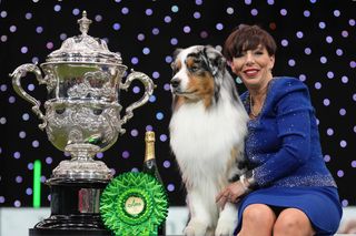Melanie Raymond poses with Viking, an Australian Shepherd, aged three, co-owned by Melanie Raymond, John Shaw and Kerry Kirtley from Solihull, Birmingham who wins Best in Show during Crufts 2024 at NEC Arena