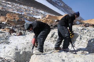 Field Museum paleontologists Peter Makovicky and Nathan Smith remove rock at the Mount Kirkpatrick quarry containing Cryolophosaurus fossils, during a 2010-2011 expedition in Antarctica.